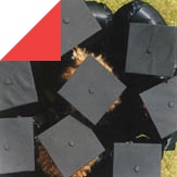 Study abroad with WSB
